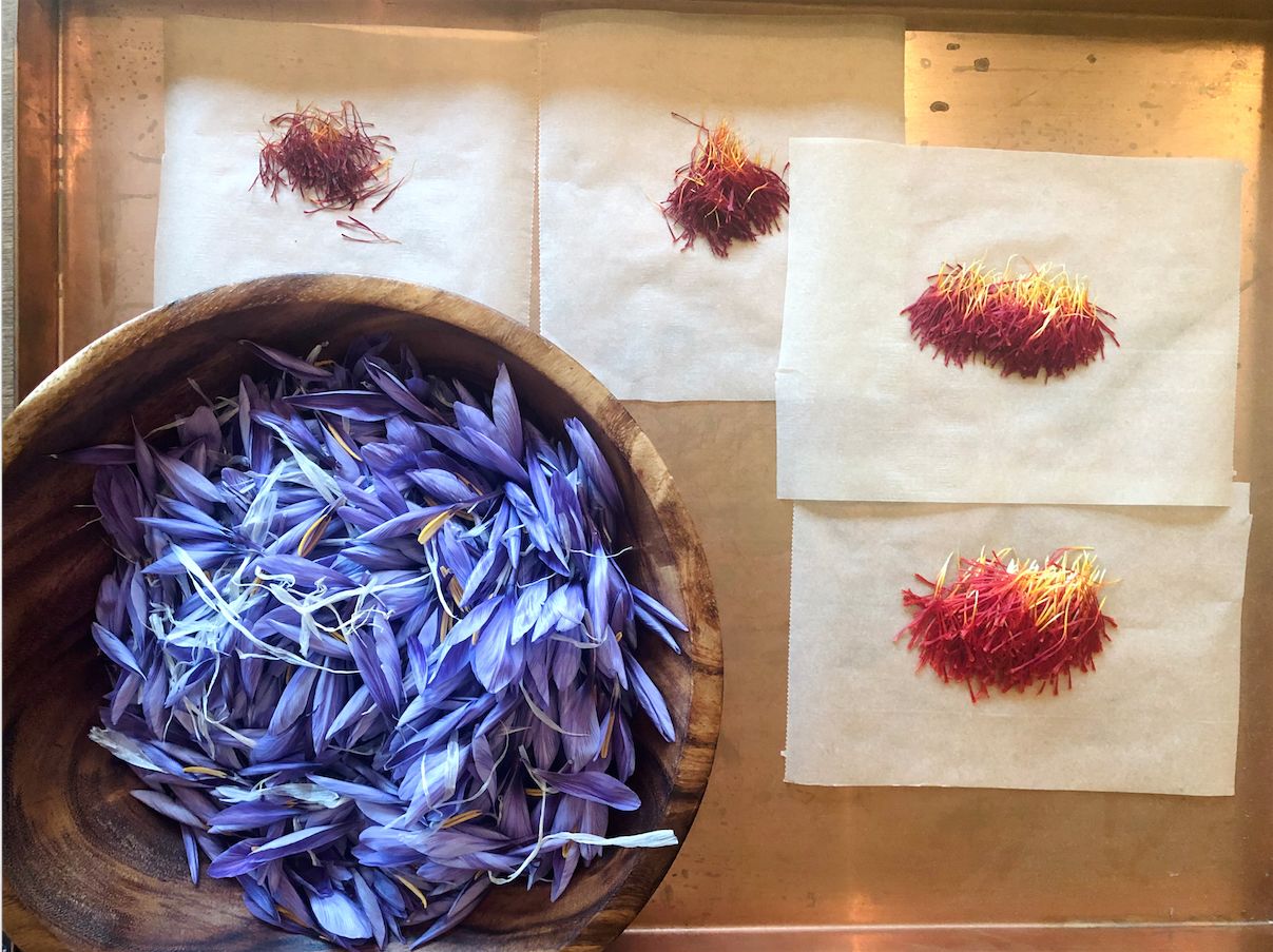 Golden Thread Farm saffron and crocus petals
